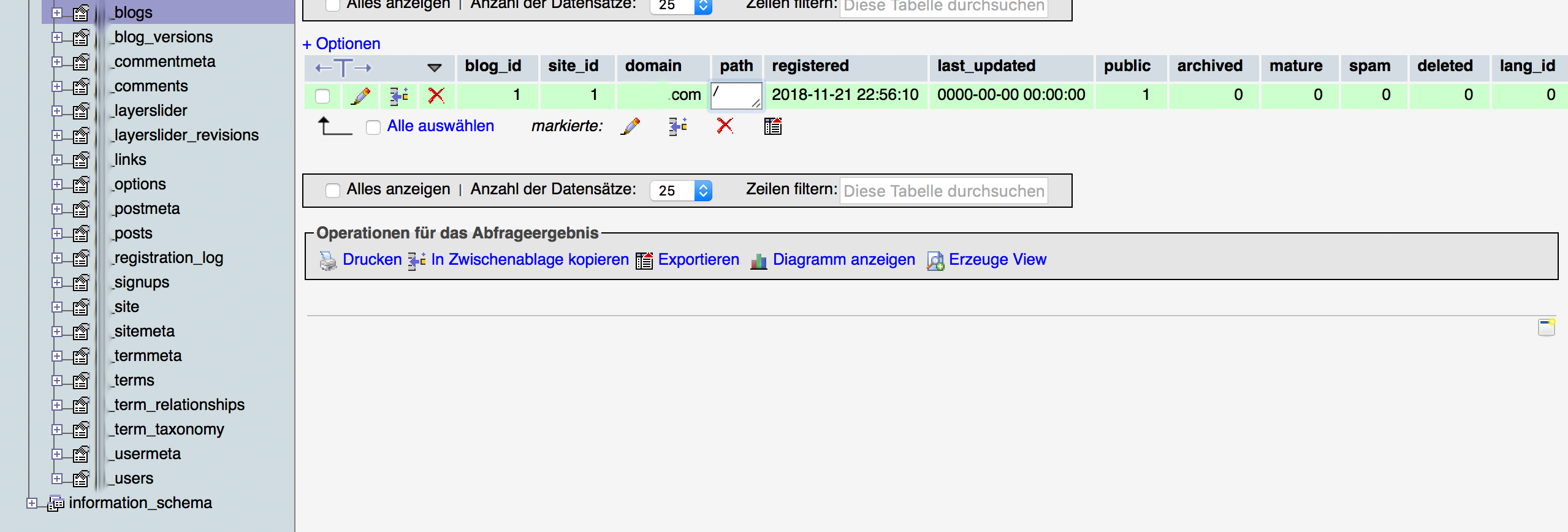 Fehler beim Aufbau einer Datenbankverbindung bei WordPress Multisite beheben