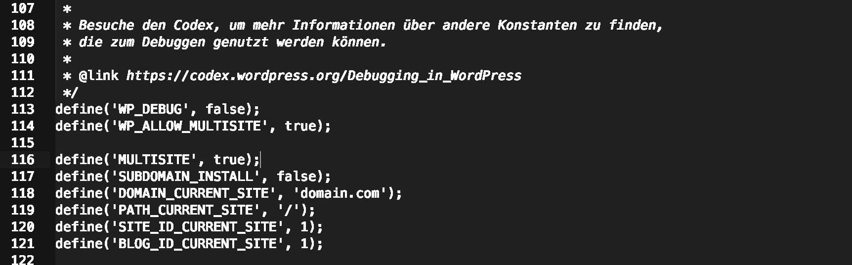 WordPress Multisite: Fehler beim Aufbau einer Datenbankverbindung